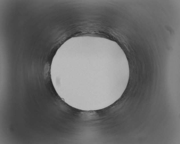 X0000116300480200912291435