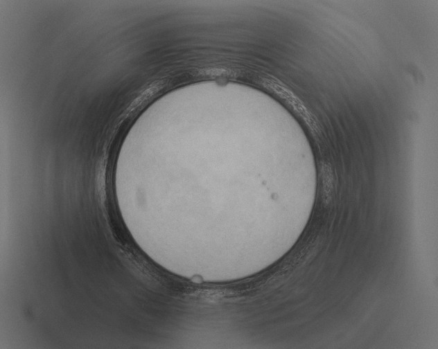 X0000116300482200912291435