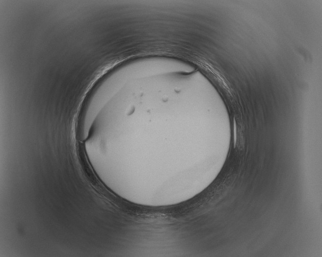 X0000116300483200912291435