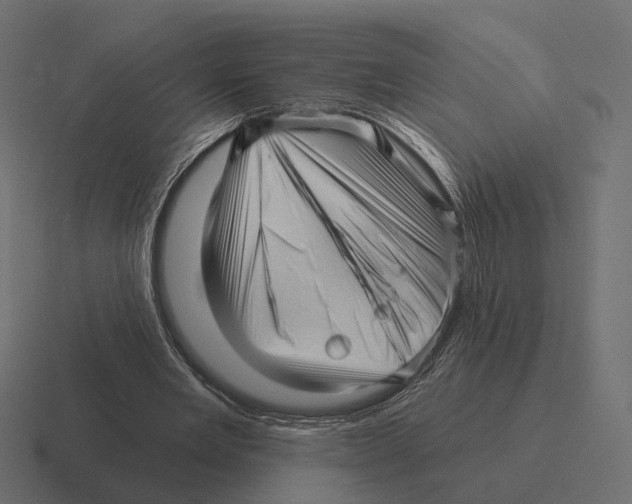 X0000116300485200912291434