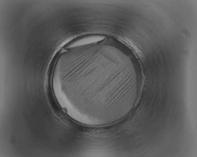 X0000116300488200912291434