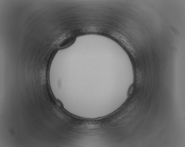 X0000116300489200912291434