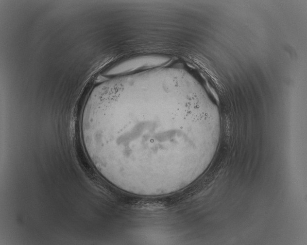 X0000116300491200912291434