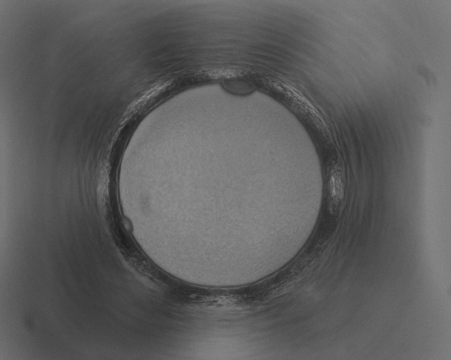 X0000116300492200912291434