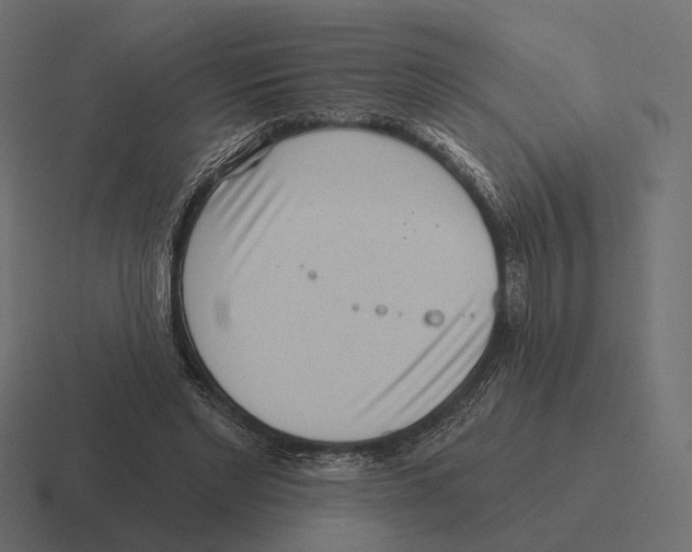 X0000116300493200912291434