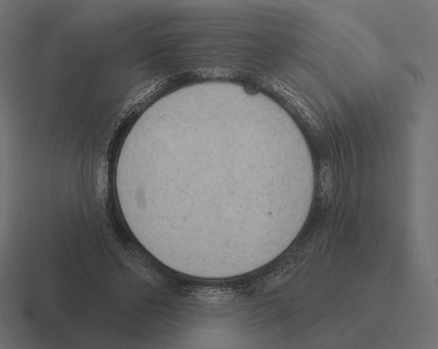 X0000116300494200912291434