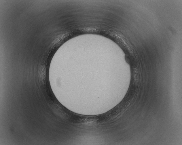 X0000116300495200912291434