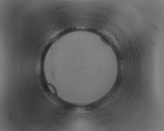 X0000116300496200912291434