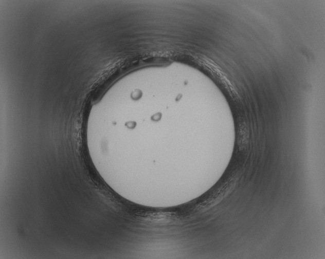 X0000116300497200912291434