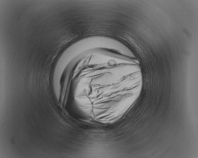 X0000116300500200912291434