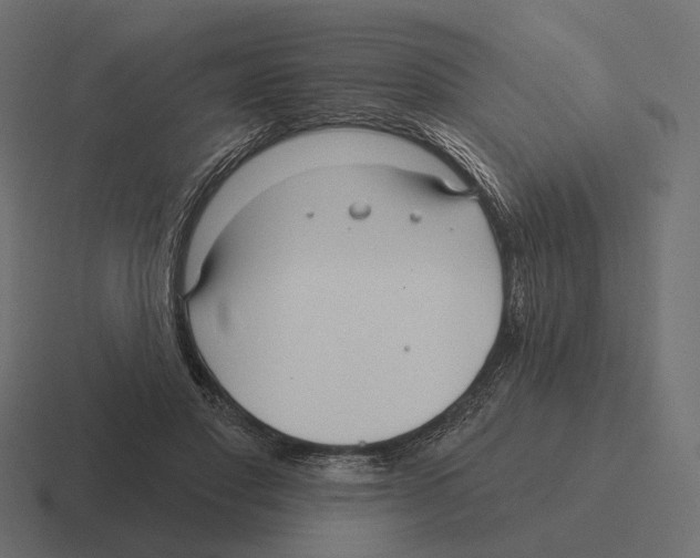 X0000116300501200912291434