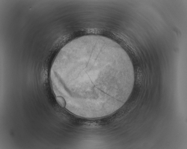 X0000116300502200912291434