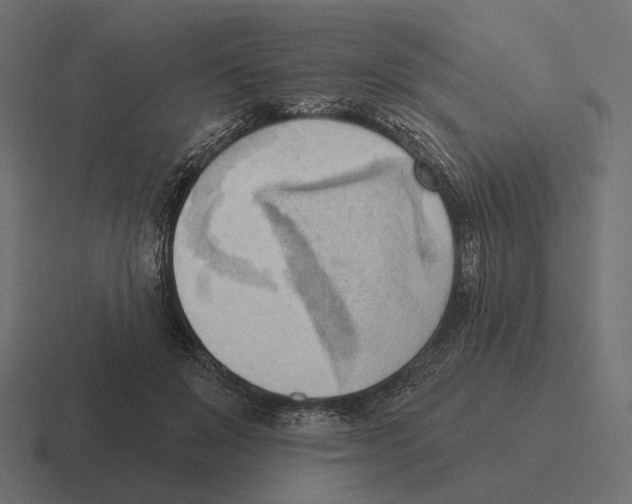 X0000116300503200912291434