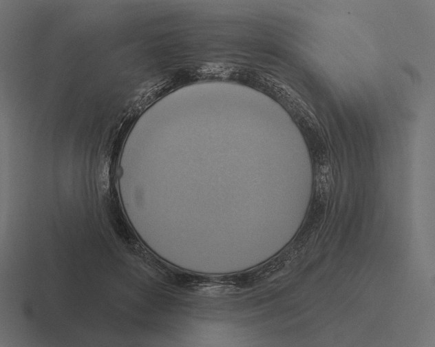 X0000116300504200912291434