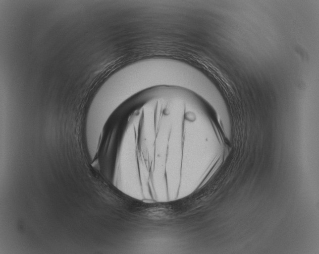 X0000116300505200912291434