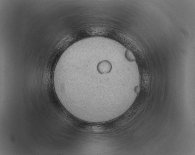 X0000116300506200912291434