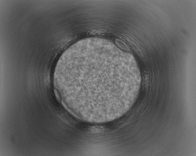 X0000116300508200912291434