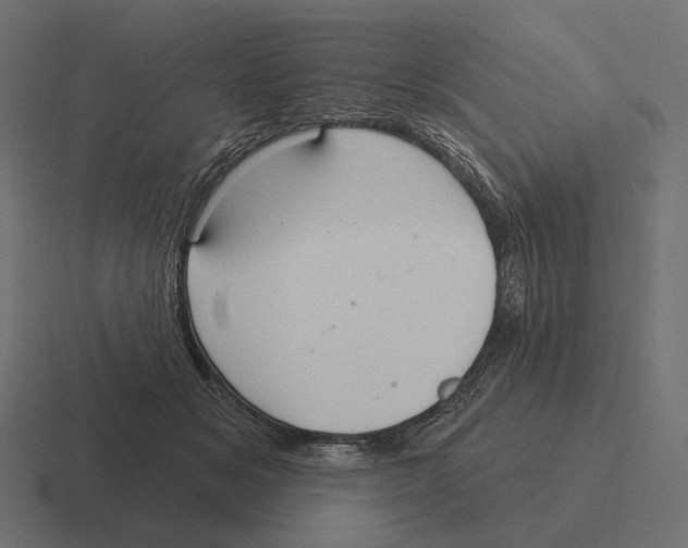 X0000116300509200912291434