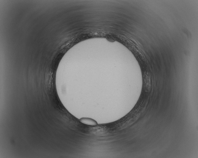 X0000116300511200912291434