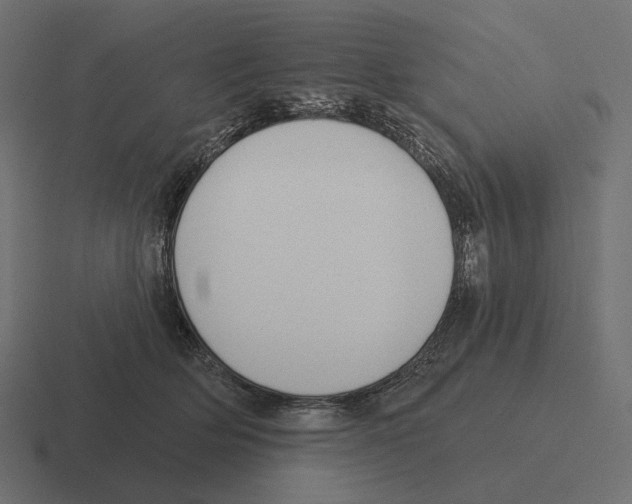 X0000116300514200912291434