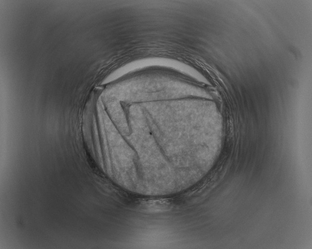 X0000116300517200912291434