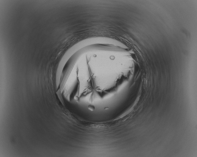 X0000116300520200912291434