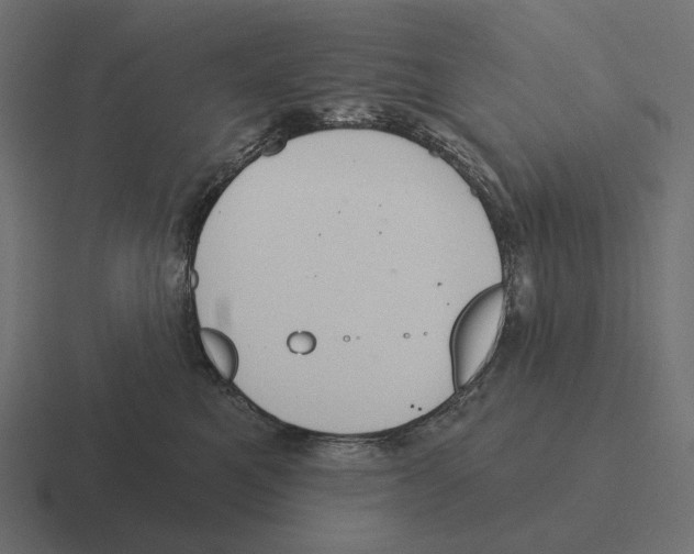 X0000116300521200912291434