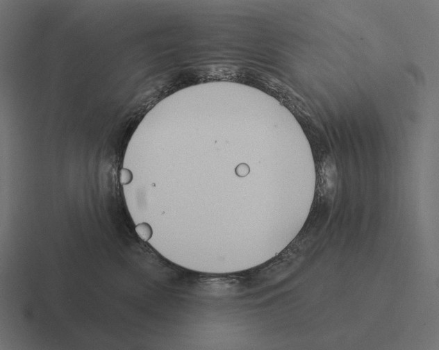 X0000116300522200912291434