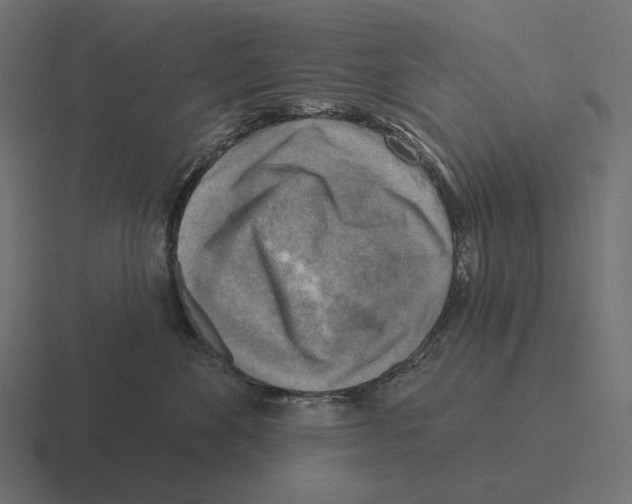 X0000116300524200912291434