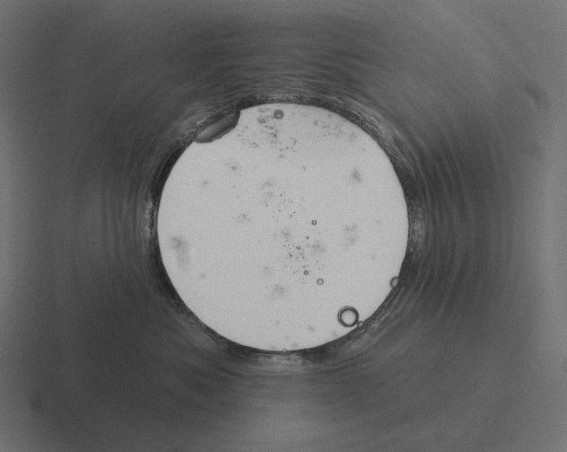 X0000116300525200912291434