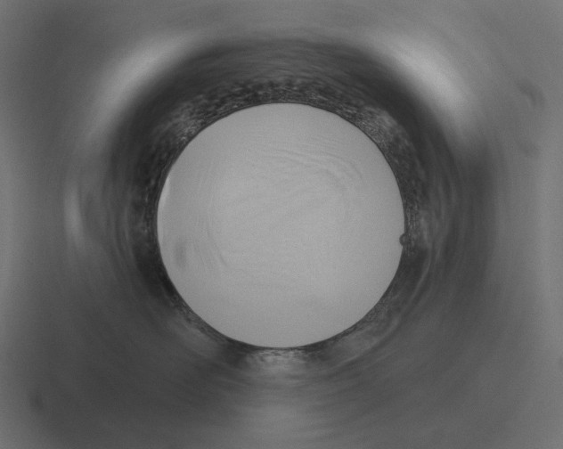 X0000116300526200912291434