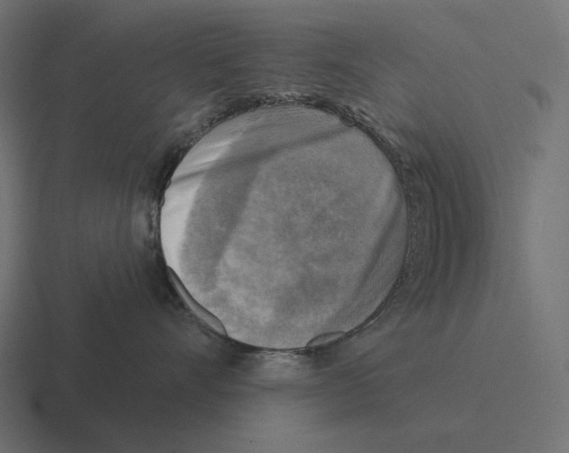 X0000116300528200912291434