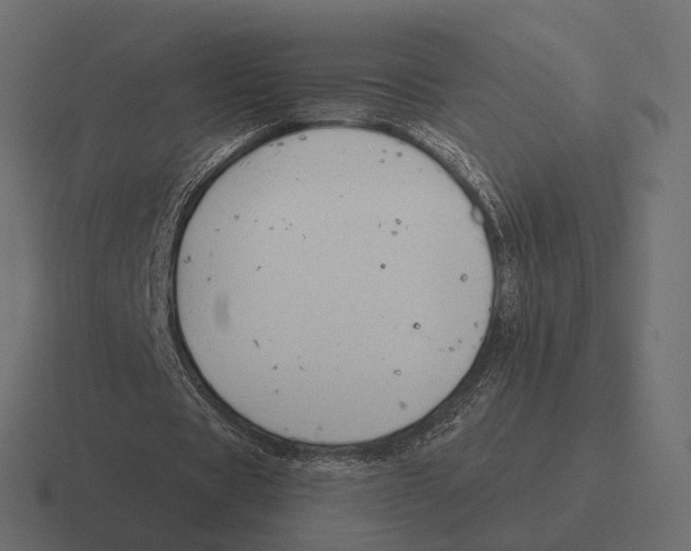 X0000116300529200912291433