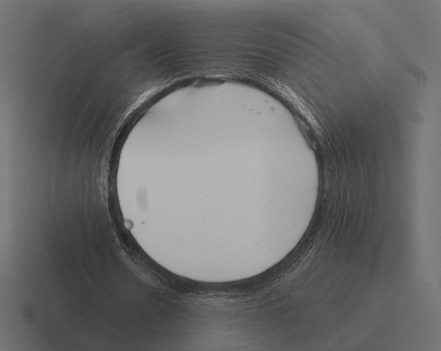 X0000116300530200912291433