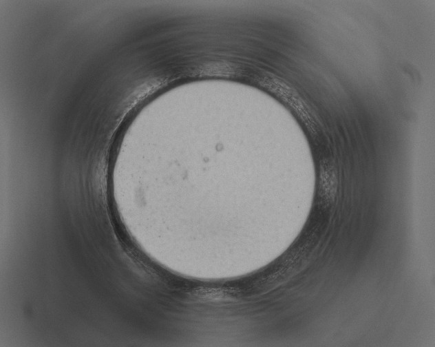 X0000116300534200912291433