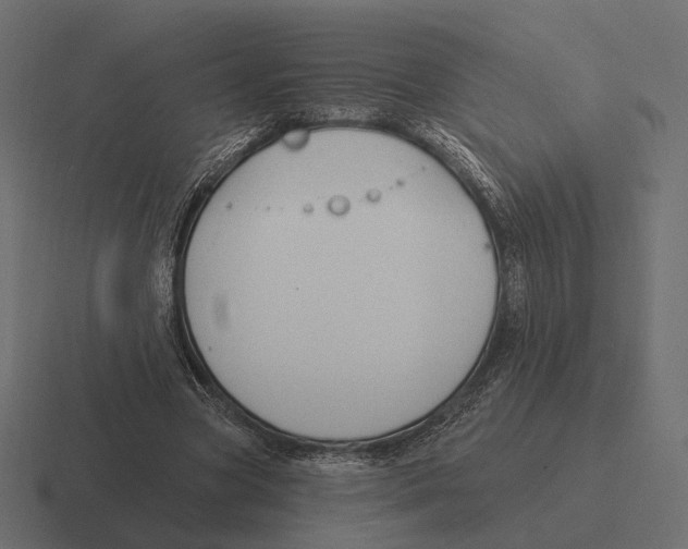 X0000116300537200912291433