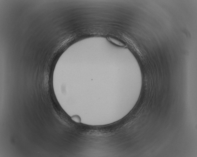 X0000116300538200912291433