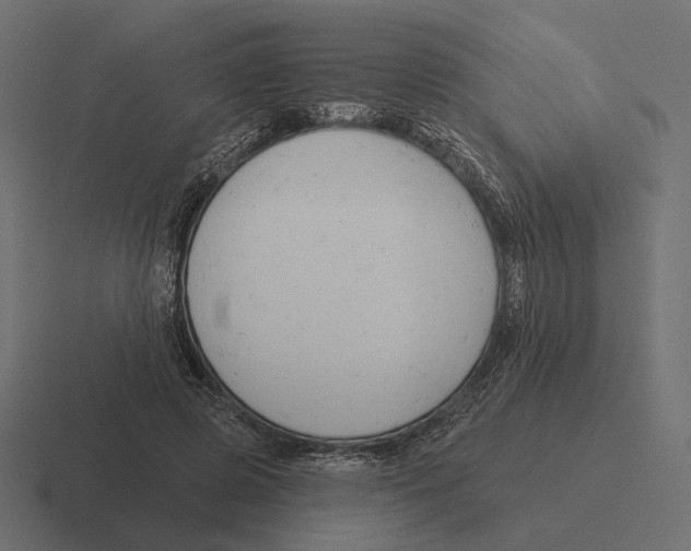 X0000116300545200912291434