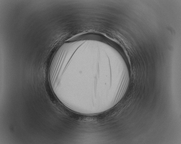 X0000116300546200912291434