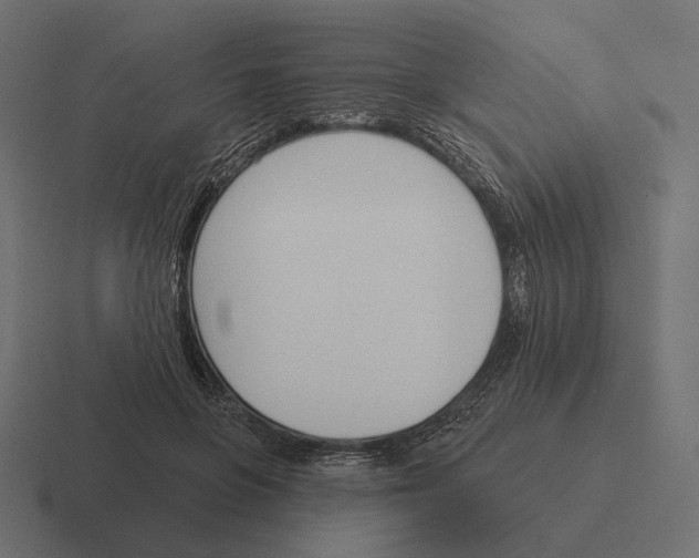 X0000116300551200912291434