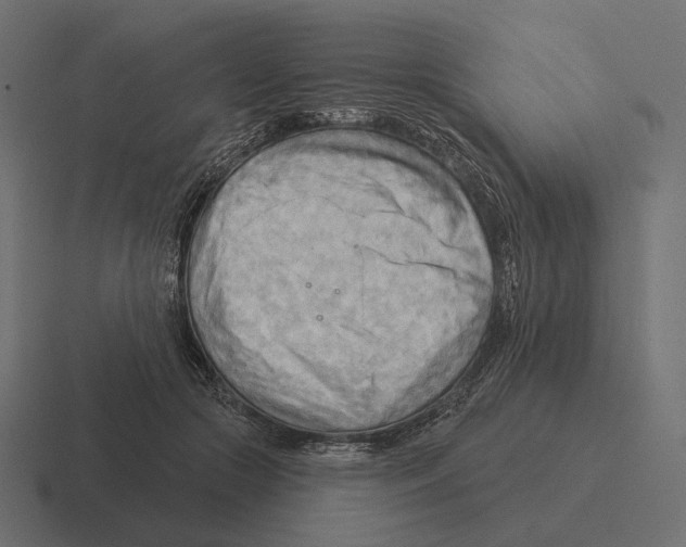 X0000116300553200912291434