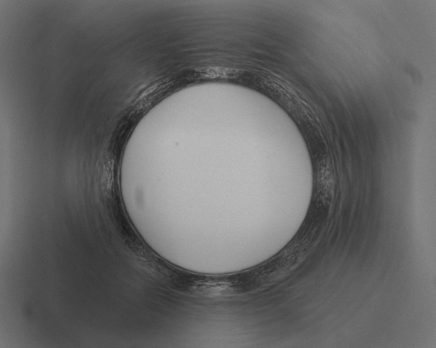 X0000116300554200912291434