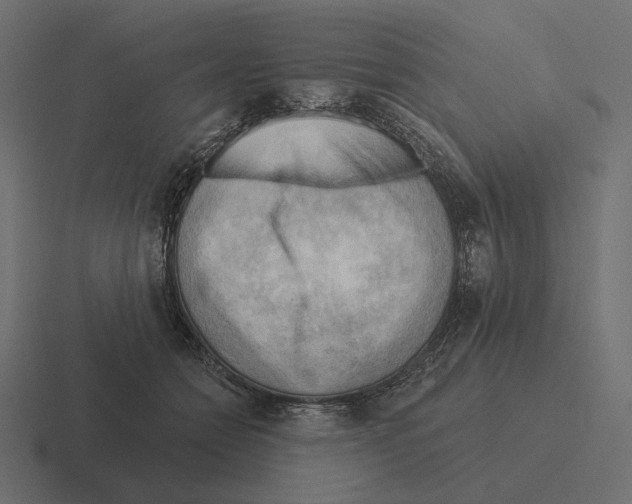 X0000116300558200912291434