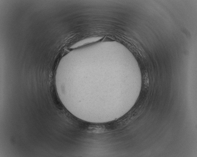 X0000116300559200912291434