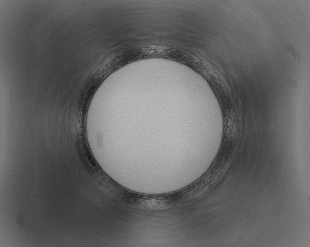 X0000116300561200912291434