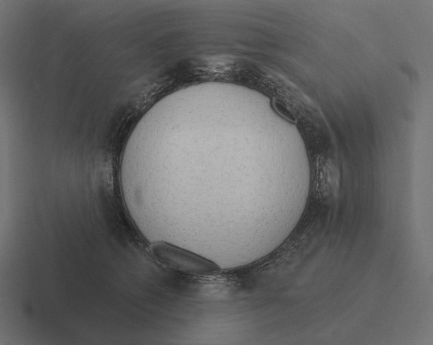 X0000116300562200912291434