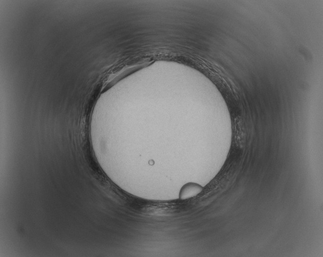 X0000116300563200912291434