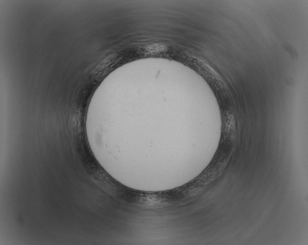 X0000116300565200912291434