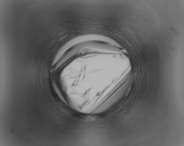 X0000116300566200912291434