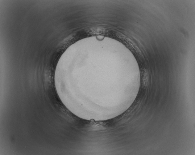 X0000116300569200912291434